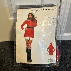 Ladies Cozy Santa Halloween Costume